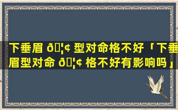 下垂眉 🦢 型对命格不好「下垂眉型对命 🦢 格不好有影响吗」